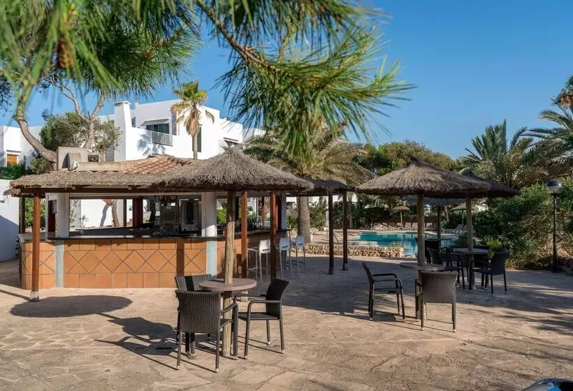 هتل Alua Suites Las Rocas