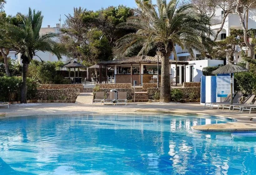 هتل Alua Suites Las Rocas