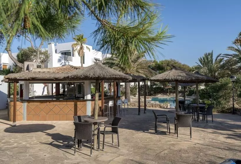 هتل Alua Suites Las Rocas