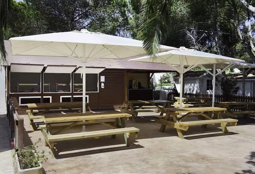 هتل Alua Suites Las Rocas