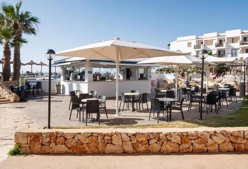 هتل Alua Suites Las Rocas