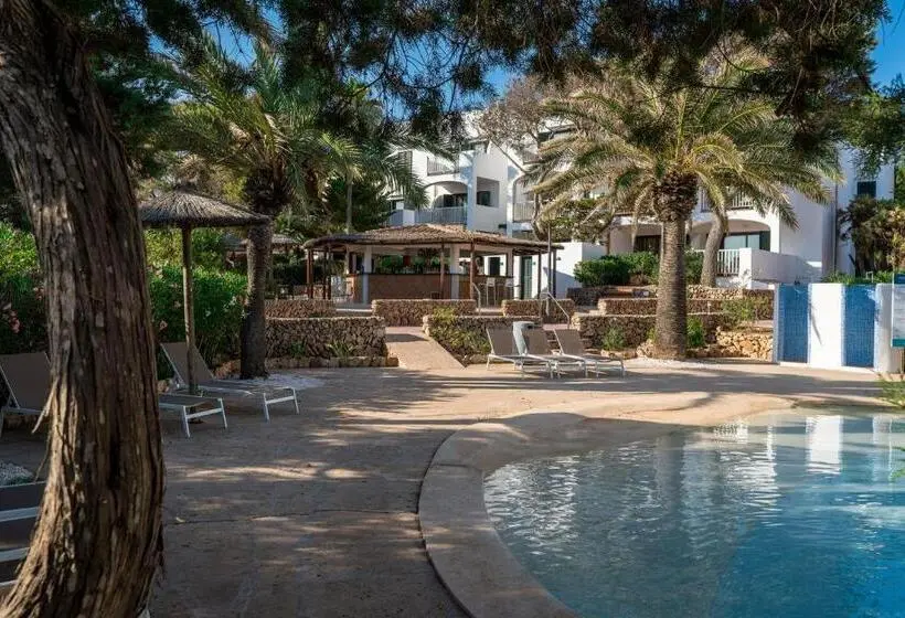 هتل Alua Suites Las Rocas
