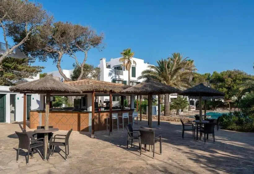 هتل Alua Suites Las Rocas