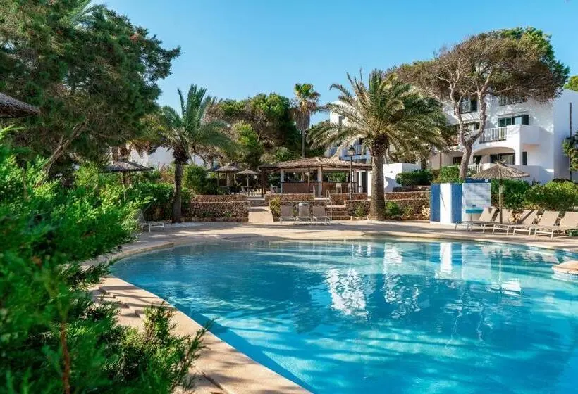 هتل Alua Suites Las Rocas