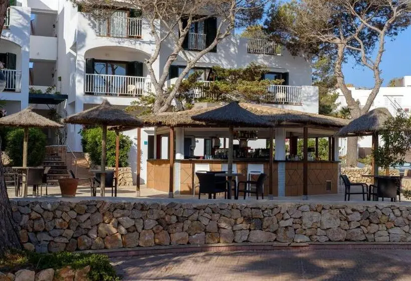 هتل Alua Suites Las Rocas