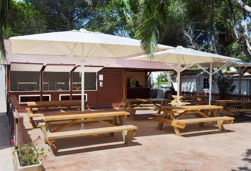 هتل Alua Suites Las Rocas