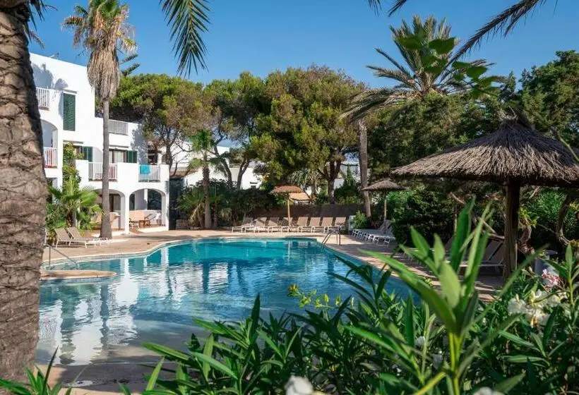 هتل Alua Suites Las Rocas