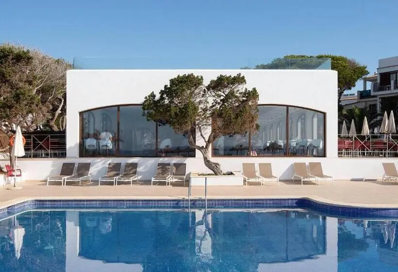 هتل Alua Suites Las Rocas