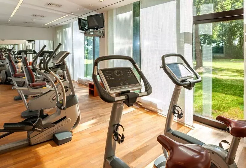 Отель Dorint Main Taunus Zentrum Frankfurt Sulzbach