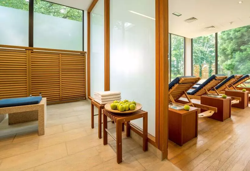 Отель Dorint Main Taunus Zentrum Frankfurt Sulzbach