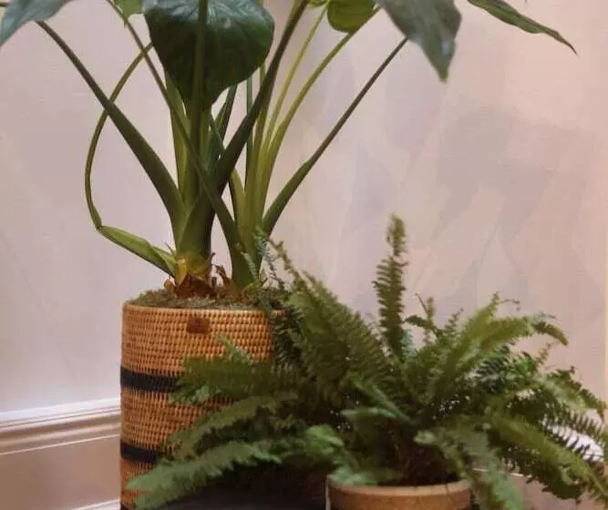 Inhabit Southwick Street, A Member Of Design Hotels