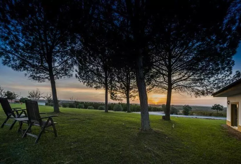 Сельский отель Vila Galé Alentejo Vineyards