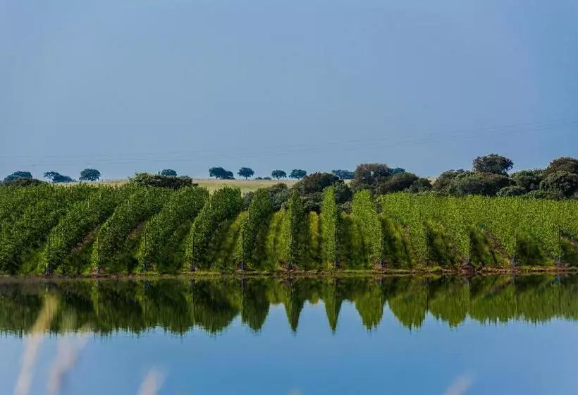 Сельский отель Vila Galé Alentejo Vineyards
