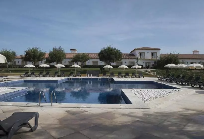 Сельский отель Vila Galé Alentejo Vineyards