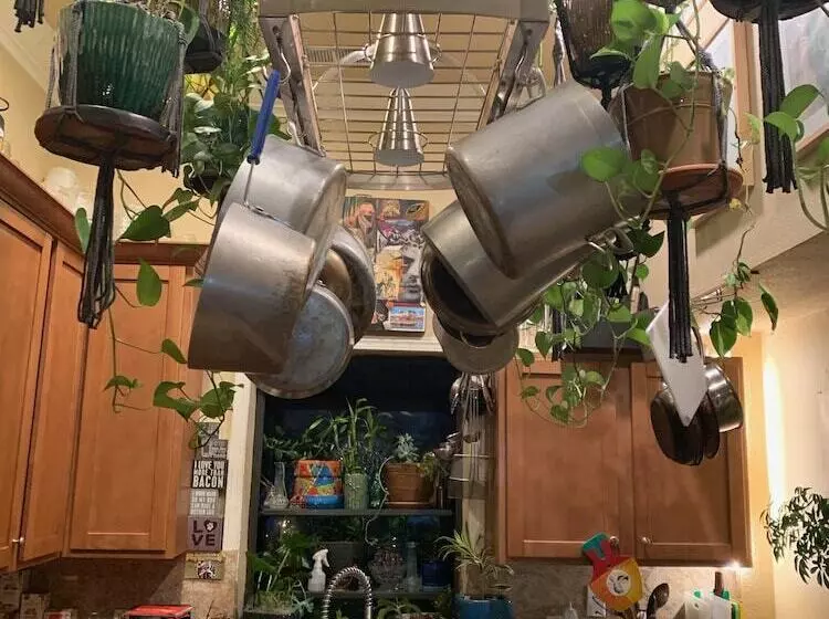 تختخواب و صبحانه Dream Catcher