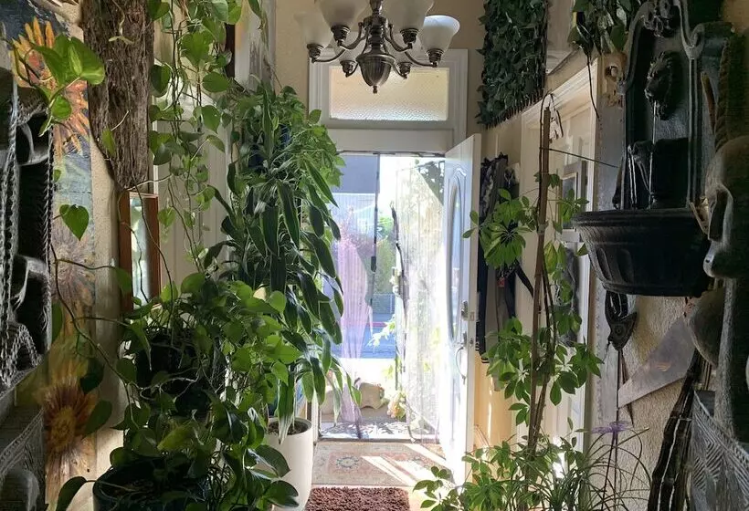 تختخواب و صبحانه Dream Catcher