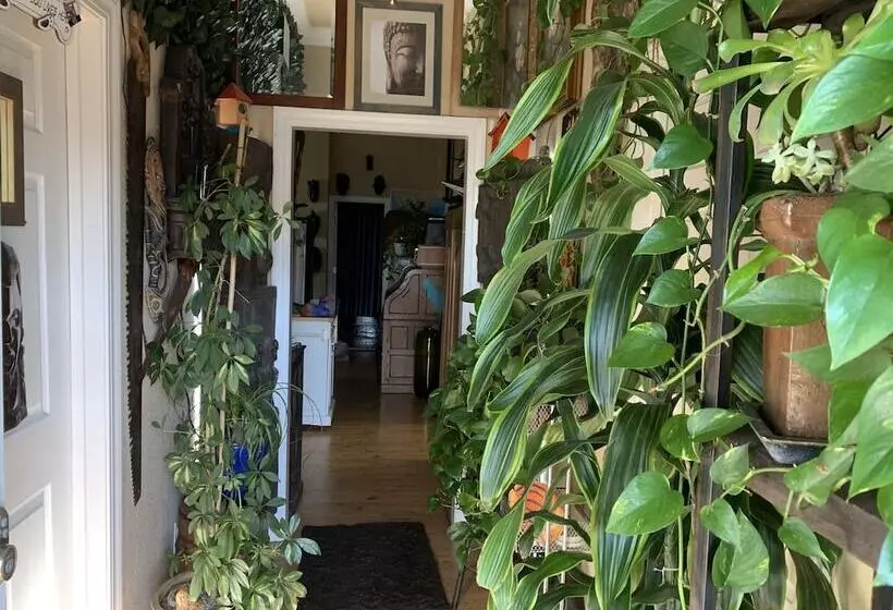 تختخواب و صبحانه Dream Catcher