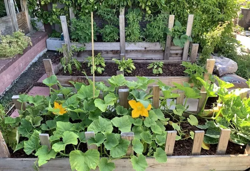 تختخواب و صبحانه Dream Catcher