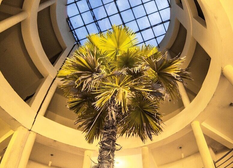 هتل Central Palms