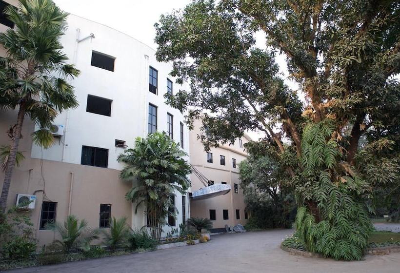 هتل Central Palms