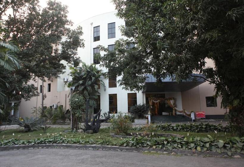 هتل Central Palms