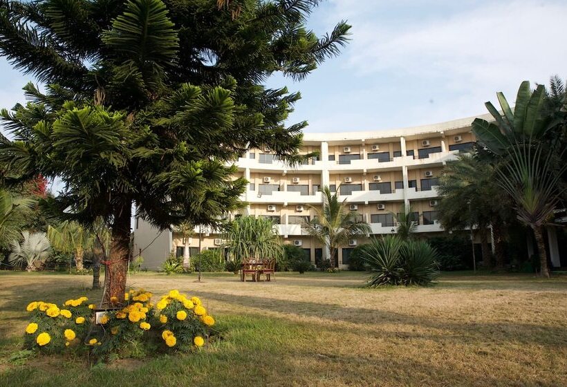 هتل Central Palms