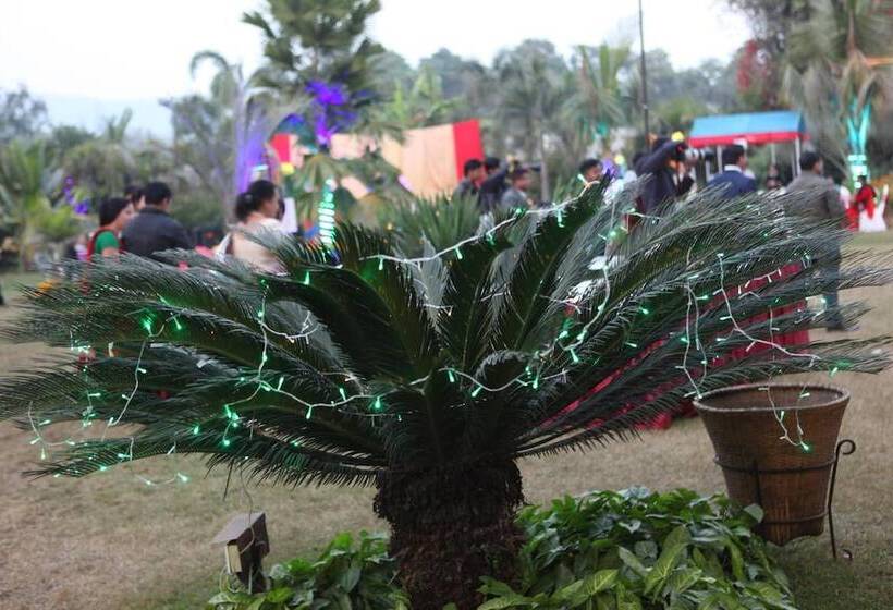 هتل Central Palms