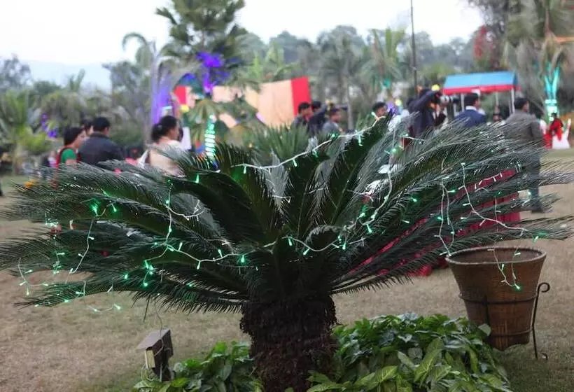 هتل Central Palms