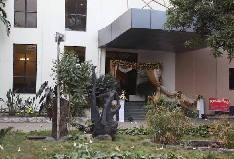 هتل Central Palms