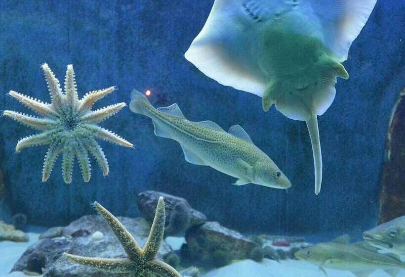 בית מלון כפרי Auberge Resto Le Parasol