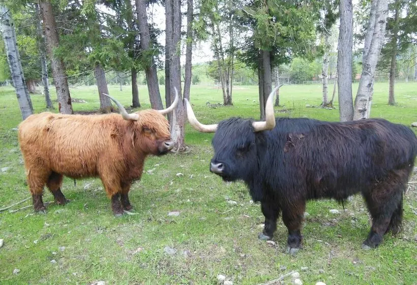 ホテル Fort Wells Gray Rustic Cabins Hostel