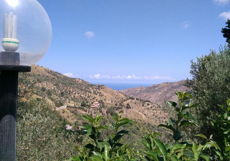 هتل روستایی L'uliveto