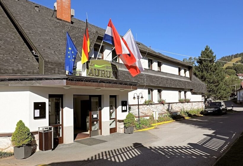 Szálloda Aurum Černý Důl