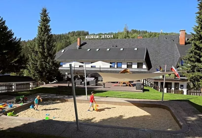 ホテル Aurum Černý Důl