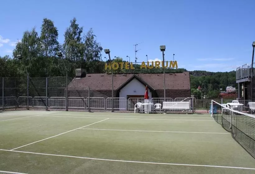 ホテル Aurum Černý Důl