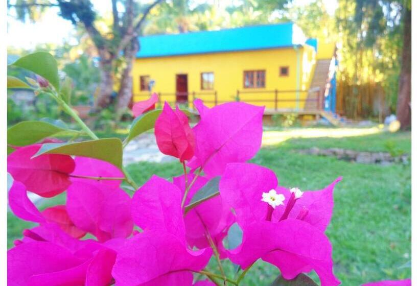 هتل Livingston Resort