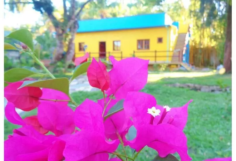 هتل Livingston Resort