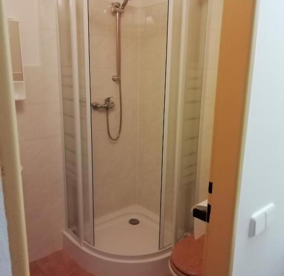 פנסיון Penzion U Walterů