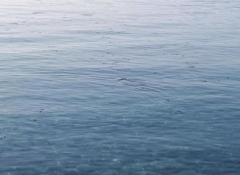 هتل Bergos Li̇man