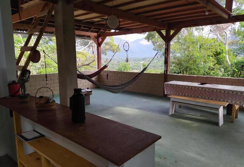 Kombi Hostel Camping