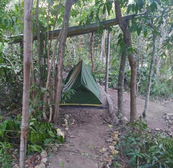 Kombi Hostel Camping