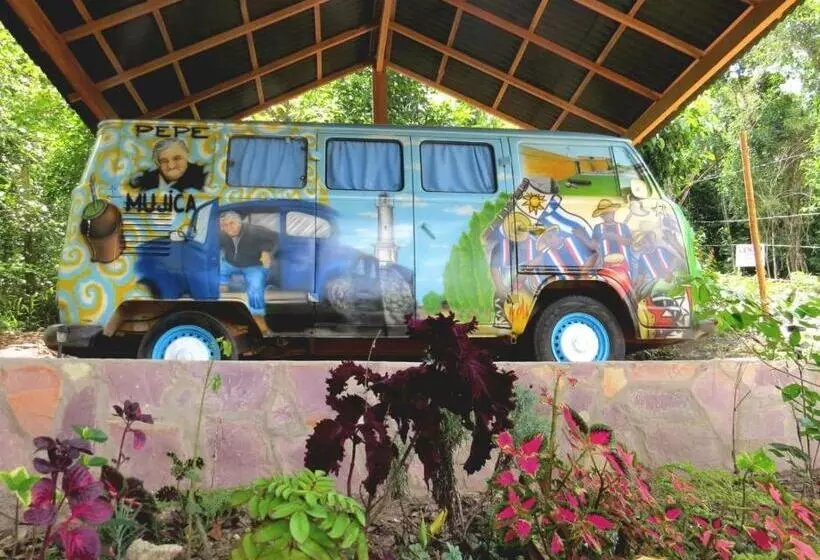 Kombi Hostel Camping