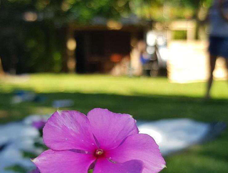 Alebahli Hostel Ilhabela by Alebahli