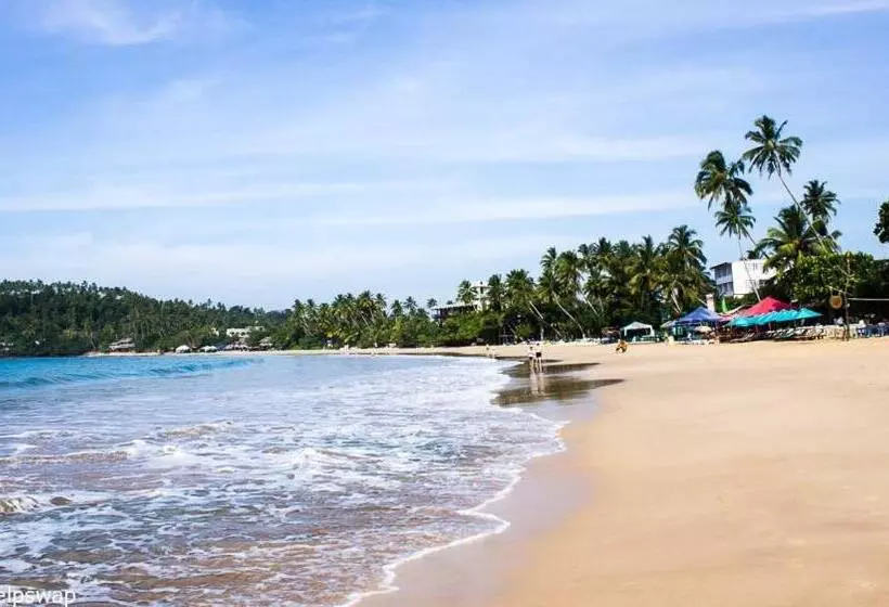 تختخواب و صبحانه The Wave's Guest House