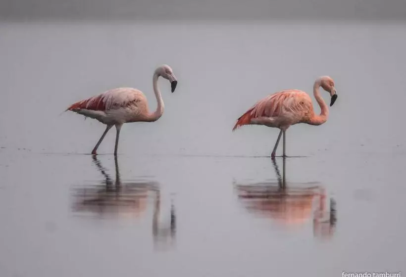 Vagamundo Hostel Carhue