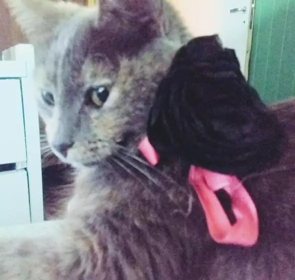 Vagamundo Hostel Carhue