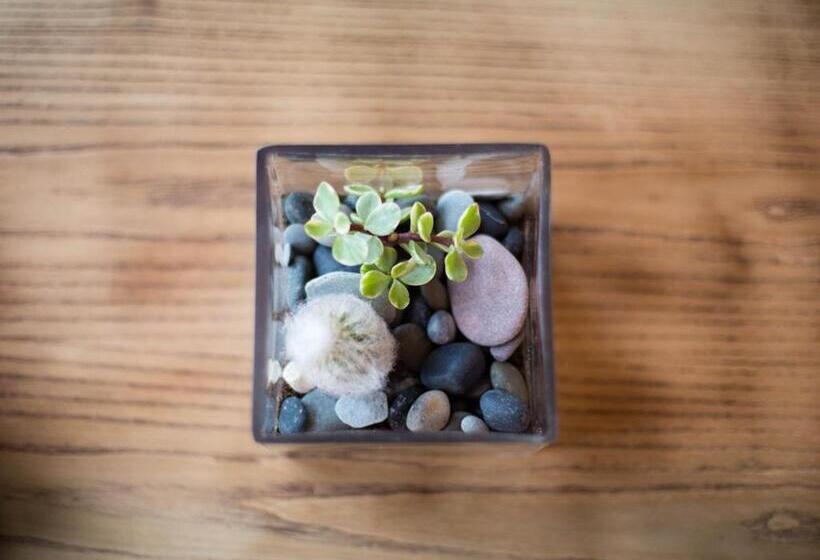 호스텔 The Smugglers Rest