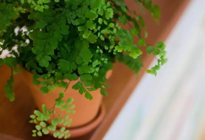 Retkeilymaja The Smugglers Rest