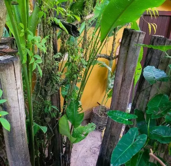 ペンション Pousada Raiz Forte