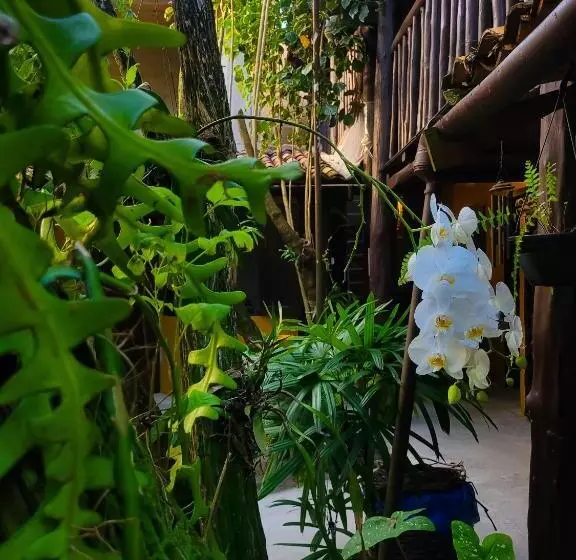 ペンション Pousada Raiz Forte